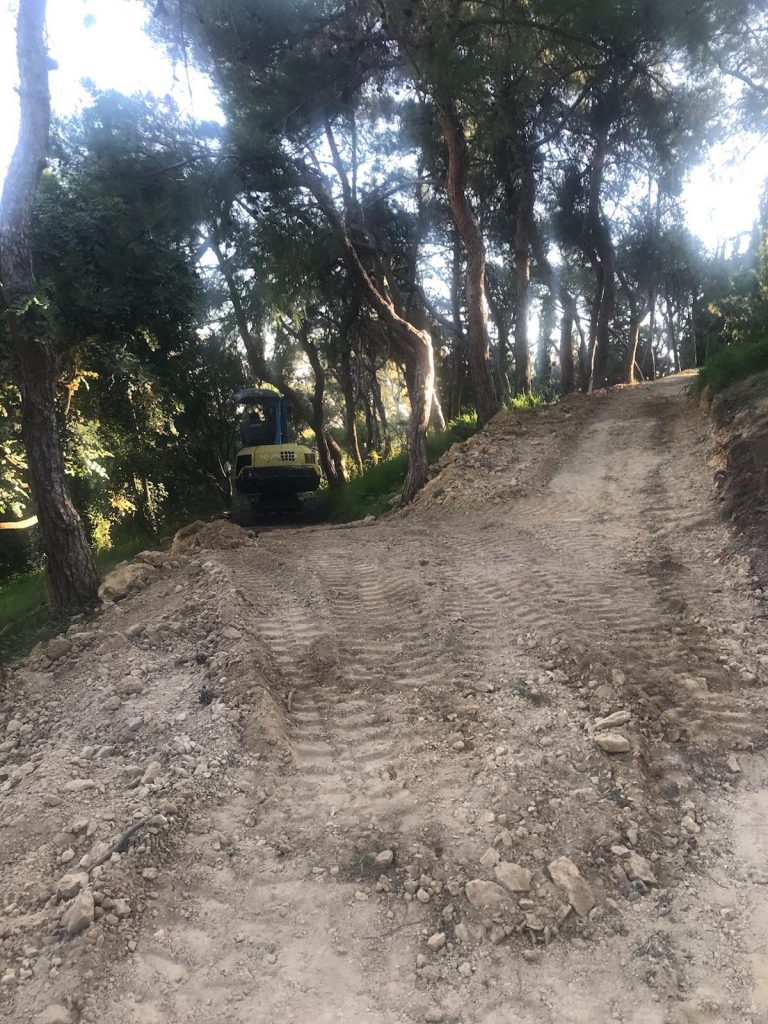 ΤΟ ΧΩΝΙ ΤΟΥ ΣΤΡΕΦΗ