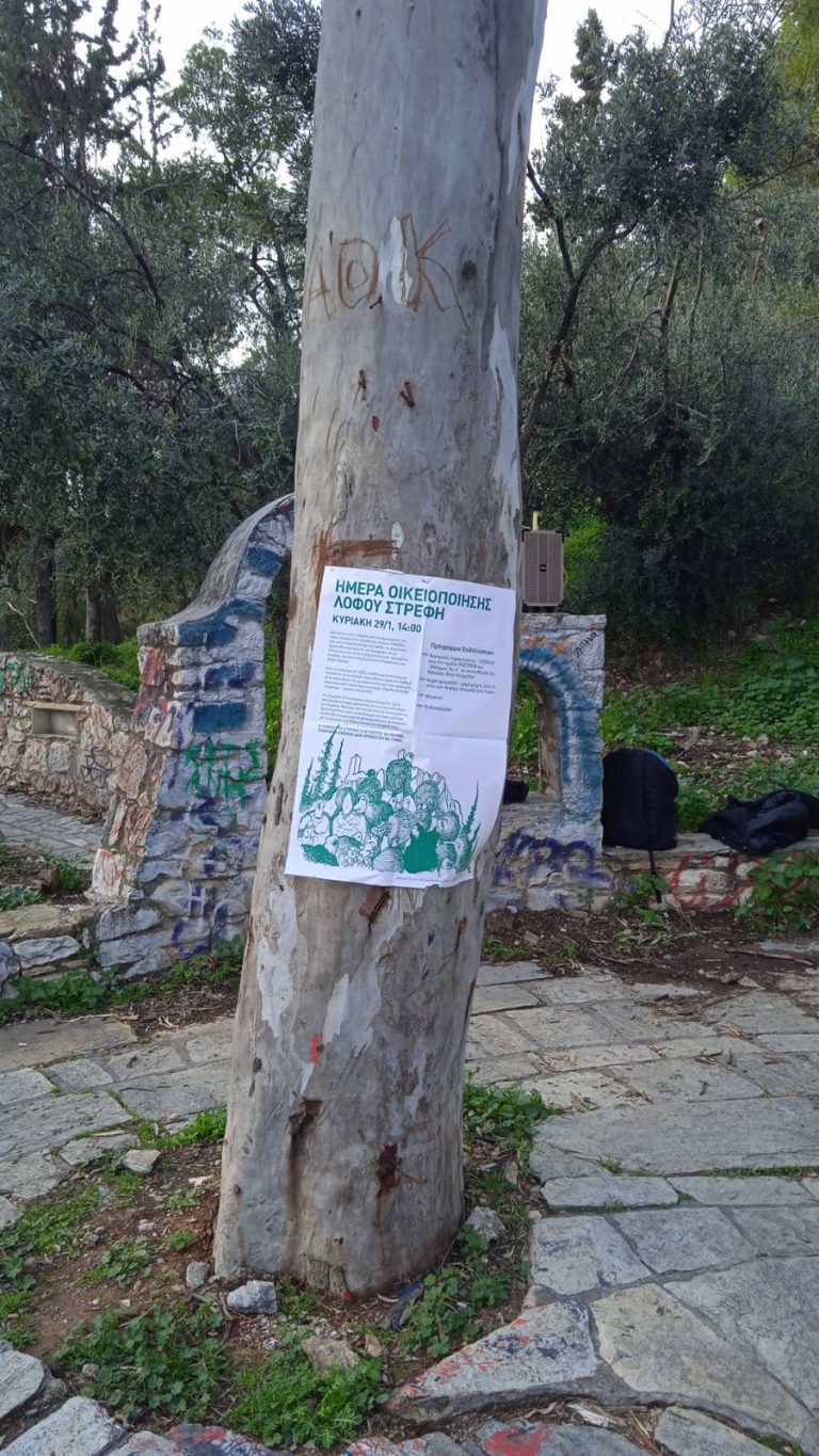 Γενέθλια της συνέλευσης, 29 Γενάρη, στον Λόφο Στρέφη