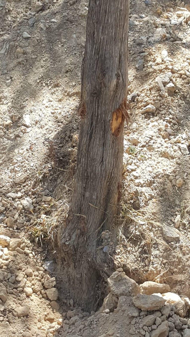 ΗΜΕΡΟΛΟΓΙΟ ΚΑΤΑΣΤΡΩΜΑΤΟΣ 17/5/2023: Το θολό τοπίο των εργασιών στον Λόφο (και η ΤΟΜΗ ΑΒΕΤΕ)