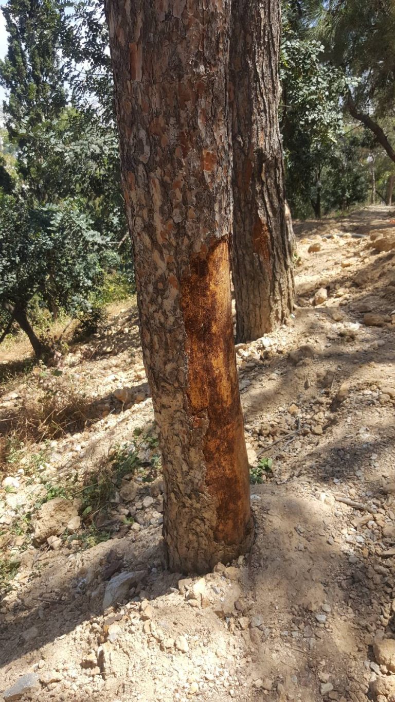 ΗΜΕΡΟΛΟΓΙΟ ΚΑΤΑΣΤΡΩΜΑΤΟΣ 17/5/2023: Το θολό τοπίο των εργασιών στον Λόφο (και η ΤΟΜΗ ΑΒΕΤΕ)