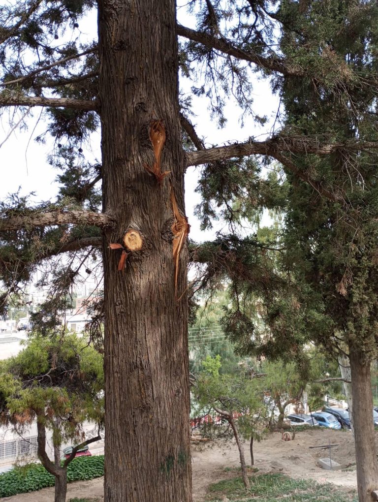 ΗΜΕΡΟΛΟΓΙΟ ΚΑΤΑΣΤΡΟΦΗΣ (ΚΑΙ ΣΟΥΡΕΑΛΙΣΜΟΥ), 19 ΩΣ 25 ΟΚΤΩΒΡΗ