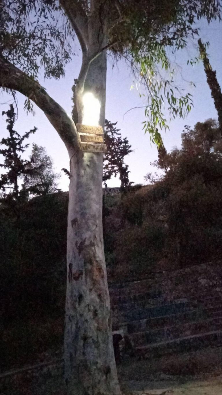Κάστορες και χελώνες Στρέφη σε δράση την Κυριακή 14 Απρίλη