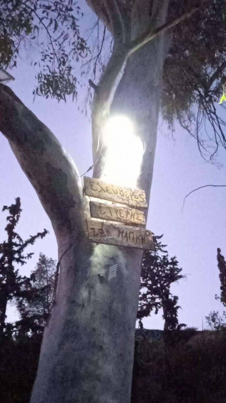 Κάστορες και χελώνες Στρέφη σε δράση την Κυριακή 14 Απρίλη