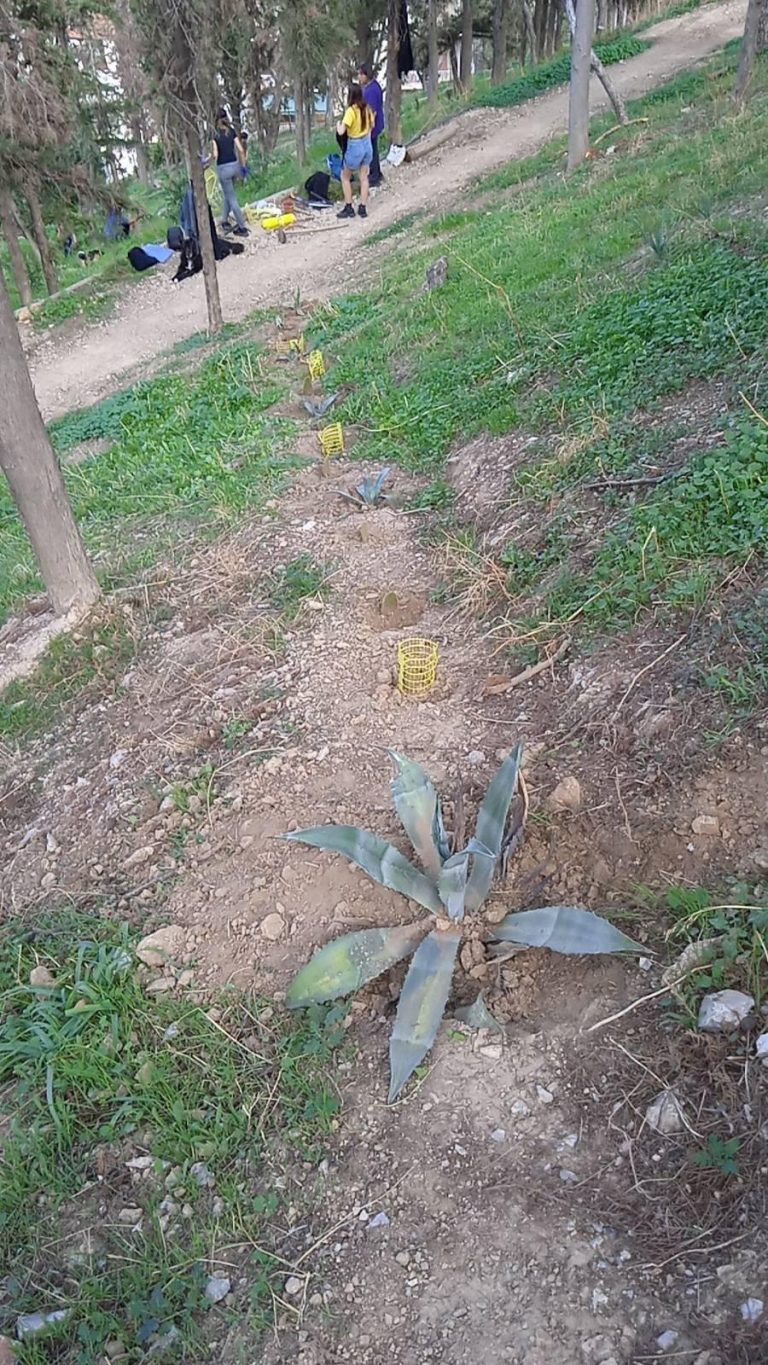 Από τις δουλειές στον Λόφο την Κυριακή 9 Νοέμβρη