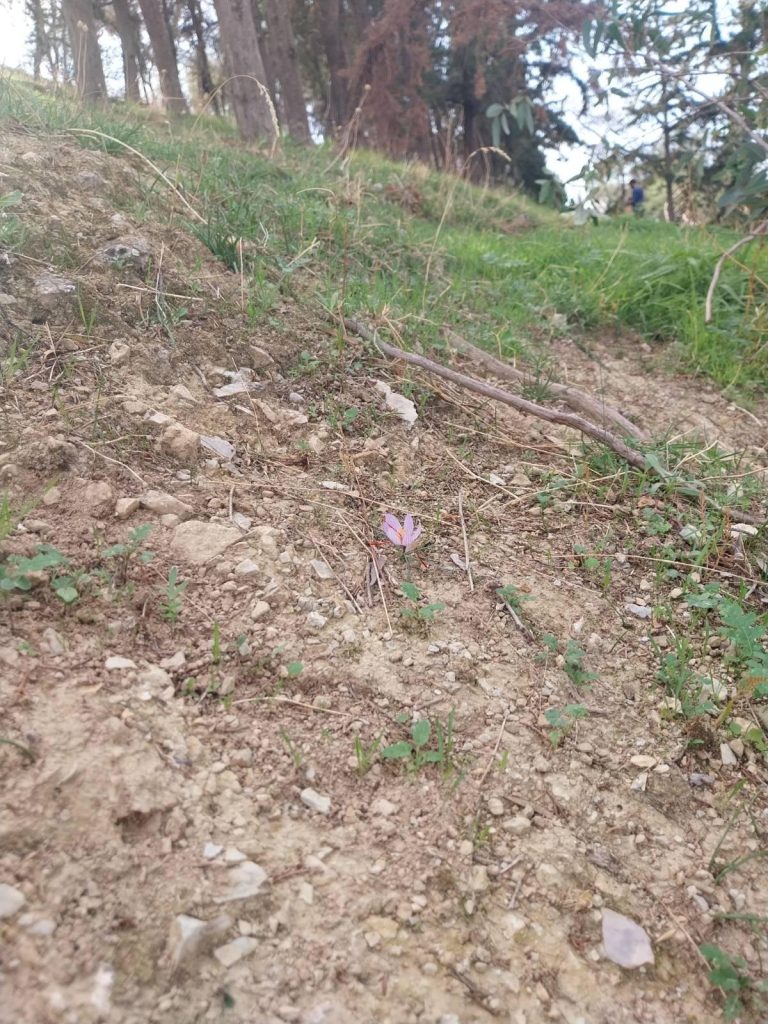 Από τις δουλειές στον Λόφο την Κυριακή 9 Νοέμβρη