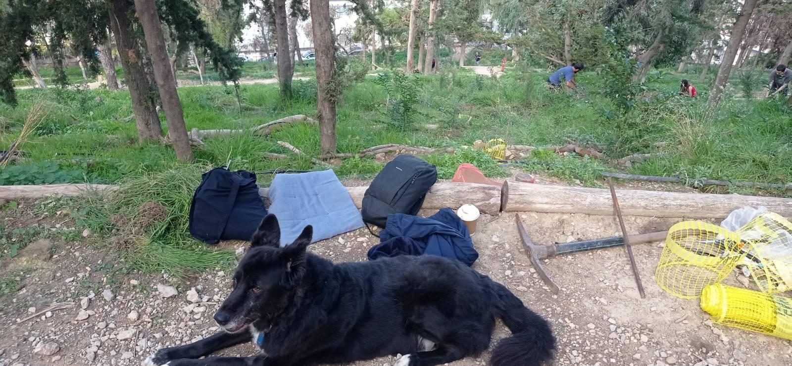 Από τις δουλειές στον Λόφο την Κυριακή 9 Νοέμβρη