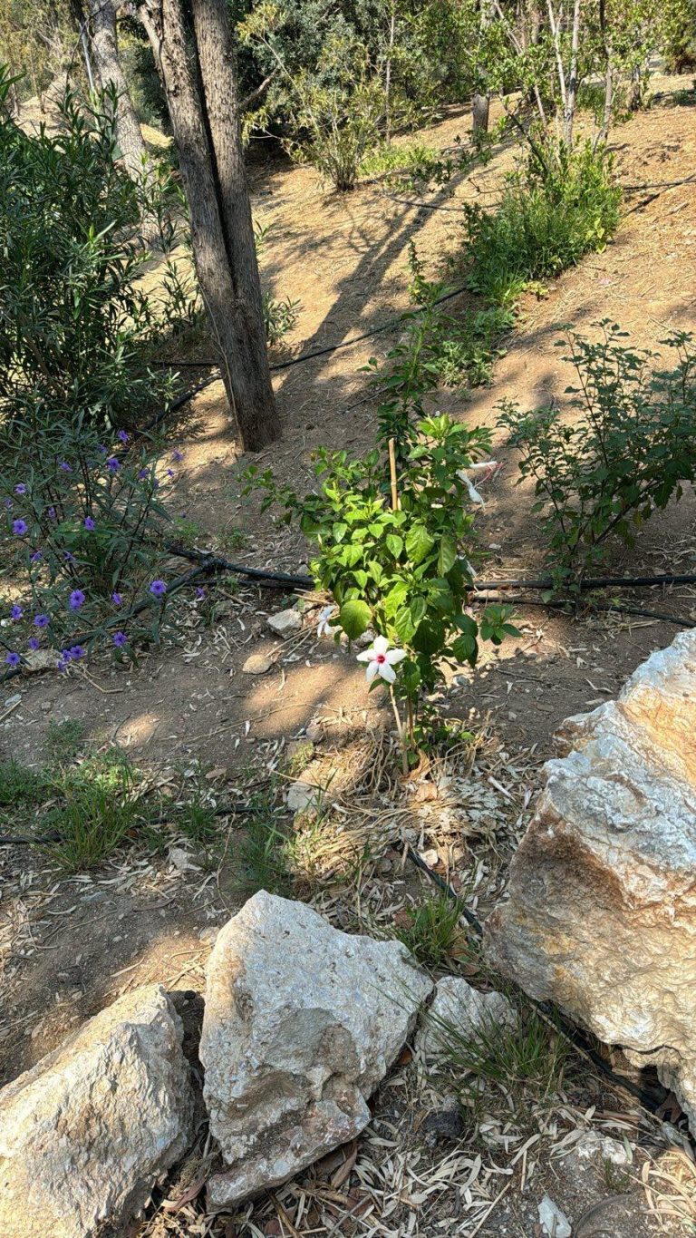 Δυο κακοκαιρίες με δυνατές καταιγίδες πέρασαν